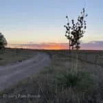 West Texas golden hour and sightseeing