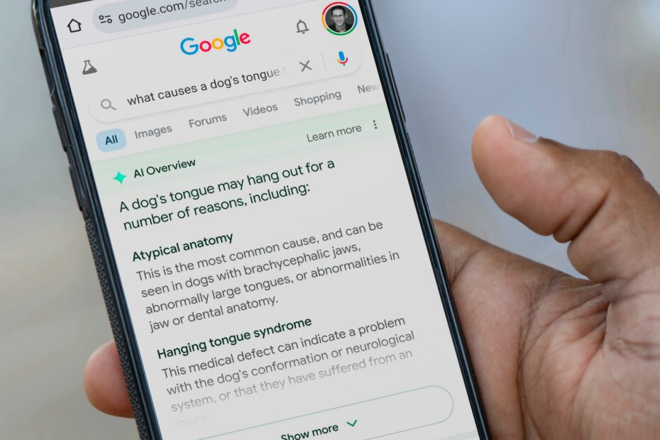 Google corrige une bourde insolite de son IA