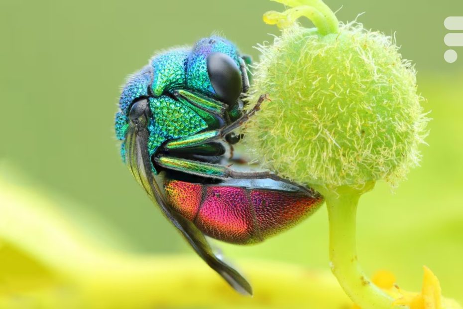 buffer, cartes et rolling shutter, tout comprendre pour ne plus jamais rater une photo d'action — Frandroid