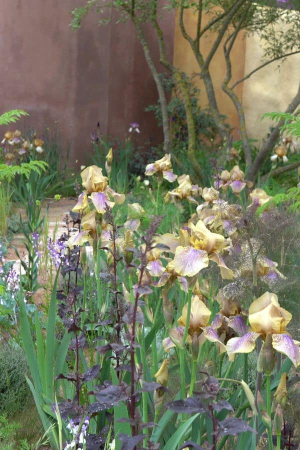 7 ideas from RHS Chelsea 2023 that will really work in your garden - The Middle-Sized Garden