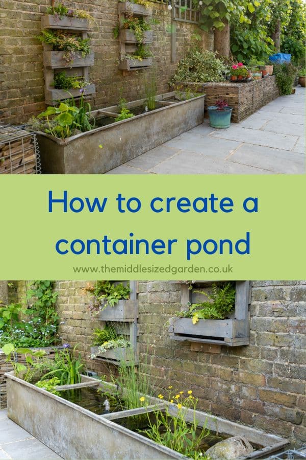 How to create a beautiful container pond to attract wildlife - The Middle-Sized Garden