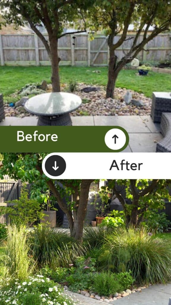 How to turn a wide shallow backyard into the perfect garden - The Middle-Sized Garden