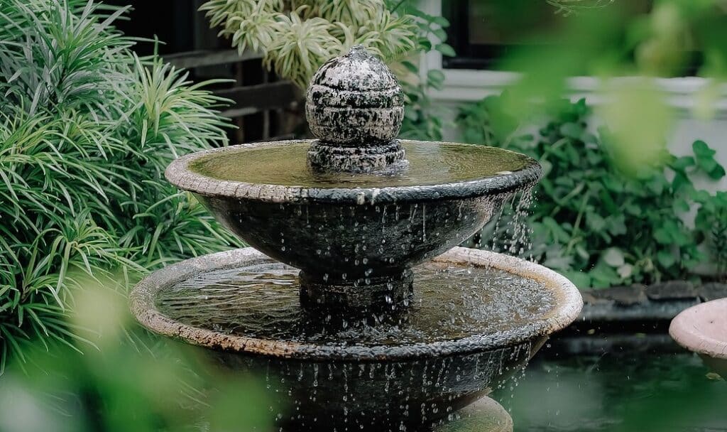 Container Water Gardens - Farmside Landscape & Design