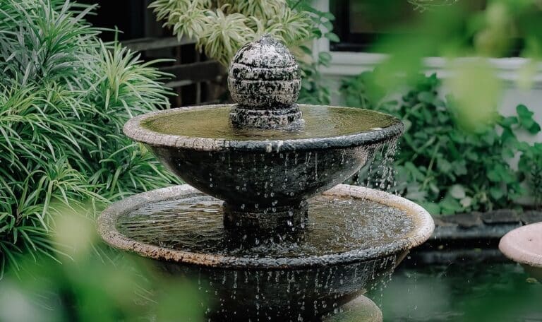 Container Water Gardens - Farmside Landscape & Design