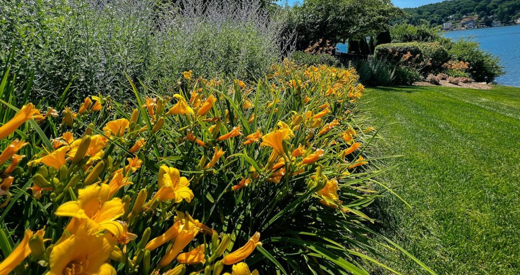 plant healthcare in sussex count nj farmside