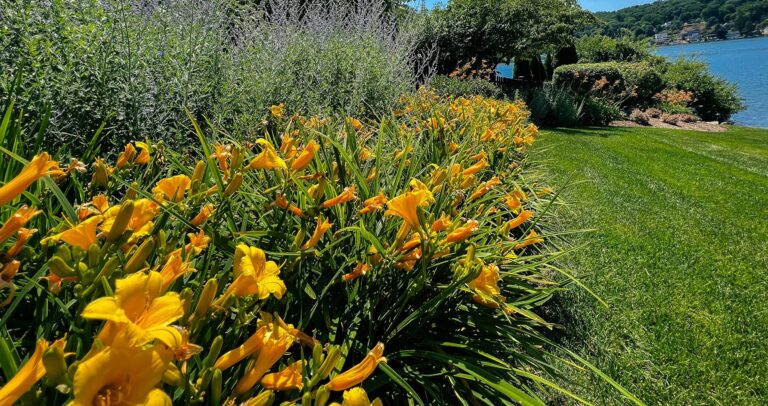 plant healthcare in sussex count nj farmside