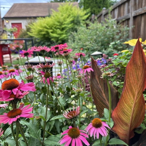 Arianne’s Garden in Minneapolis - FineGardening