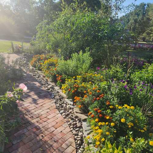 Returning to Chris’s Pennsylvania Garden