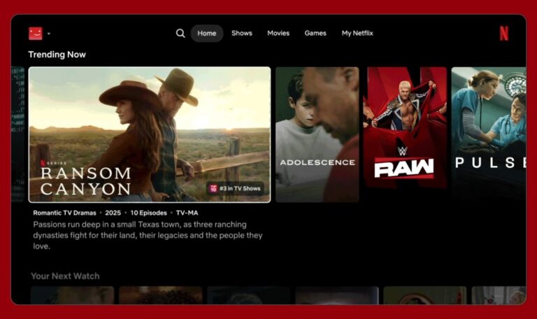 Netflix App Tv Interface