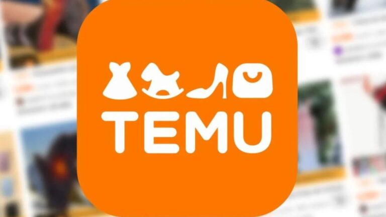 Bruxelles épingle Temu, le géant de l'e-commerce