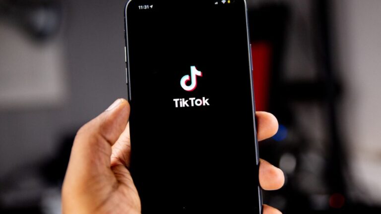 Pour sortir du « piège TikTok », une commission d'enquête réclame un « couvre-feu numérique »