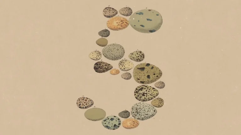 Claude Opus 5 : ce qu'Anthropic ne vous a pas dit sur sa nouvelle IA